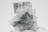 Glassy, Purple-Zoned Cubic Fluorite Cluster on Quartz - China #205613-1
